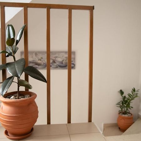 Nikorina Apts Lefkáda Exteriér fotografie